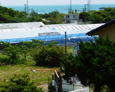 ２階居海側室よりの眺め